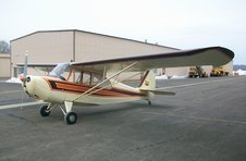 Champ Day at Warrenton